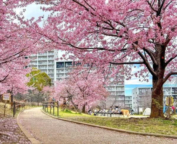 朝日メトロステージ西巣鴨(西ヶ原みんなの公園)