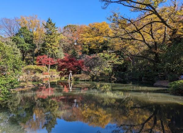 渋谷区広尾２丁目の中古一戸建て(有栖川宮記念公園)