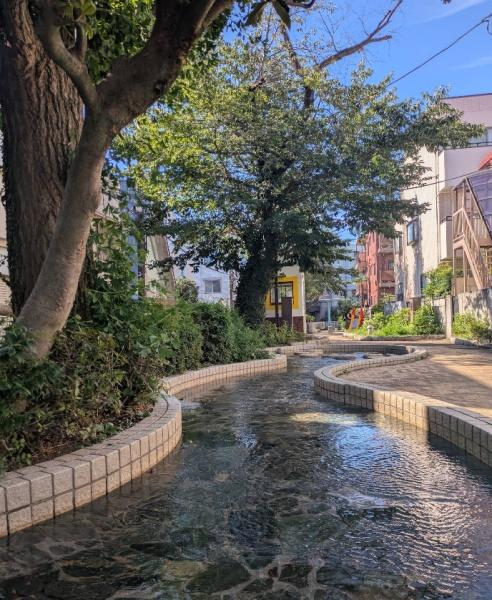 ヒルズ千早町(千川親水公園)
