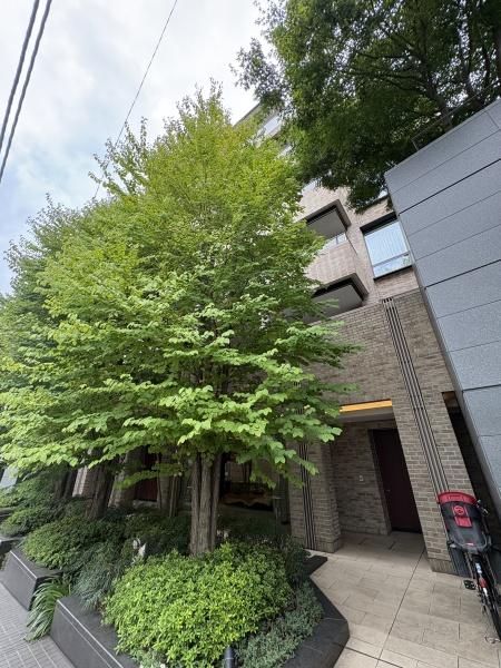 パークハウス西麻布霞町
