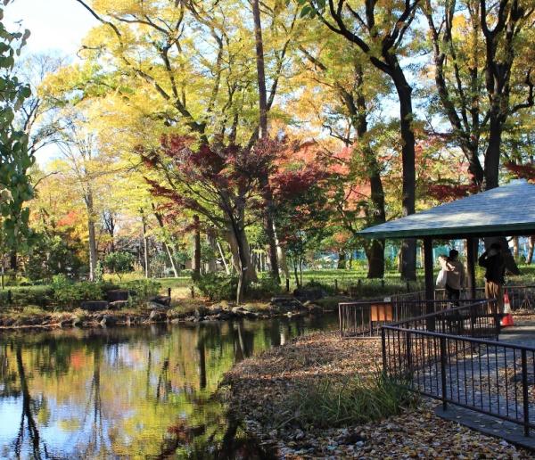 ライオンズステージ下高井戸(塚山公園)