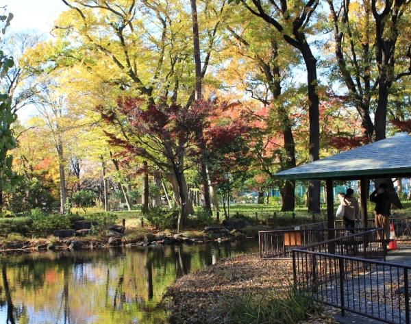 世田谷区上北沢５丁目の中古一戸建て(塚山公園)