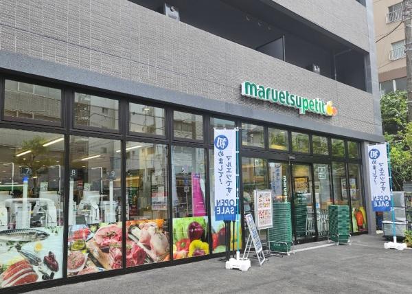 ルイシャトレ新大塚(マルエツプチ南大塚二丁目店)