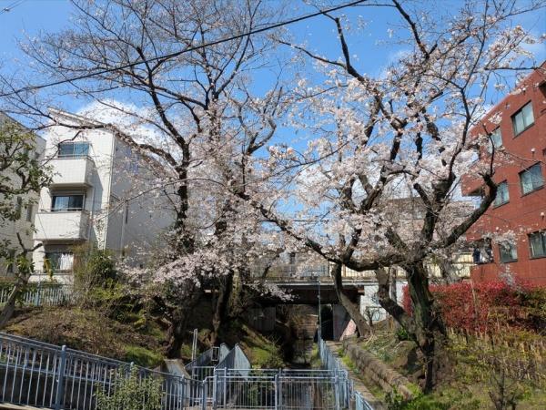 グランパーク代田橋