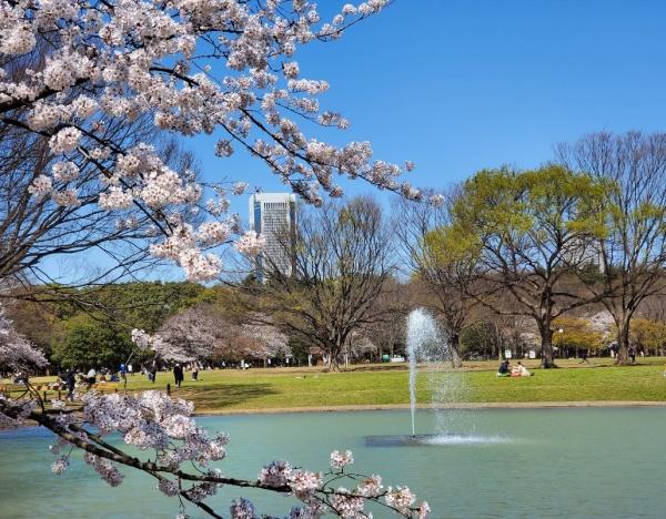代々木いずみマンション（代々木公園）(東京都立代々木公園)