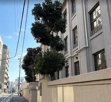 [渋谷区東3丁目新築戸建](渋谷区立広尾小学校)
