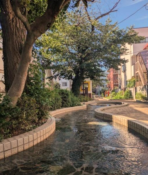 ヒルズ千川(千川親水公園)