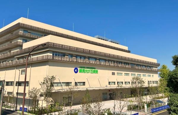 練馬区春日町６丁目の中古一戸建て(公益社団法人地域医療振興協会練馬光が丘病院)