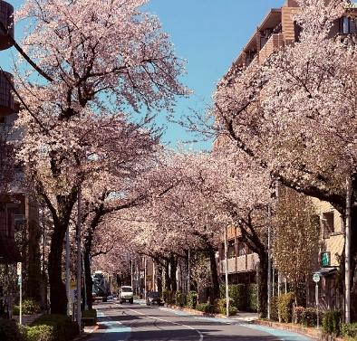 練馬区春日町６丁目の中古一戸建て