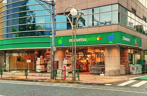 アクティス高田馬場四丁目(マルエツプチ高田馬場店)