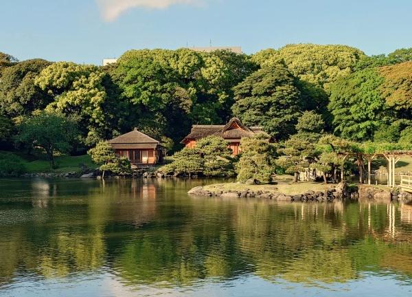 アルス高輪フェアヒルズ(池田山公園)
