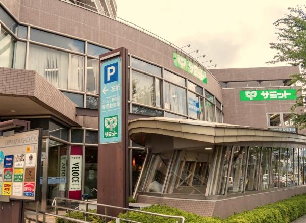 練馬区田柄５丁目の中古一戸建て(サミットストア練馬春日町店)