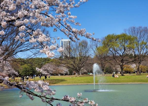 渋谷区元代々木町の土地(東京都立代々木公園)