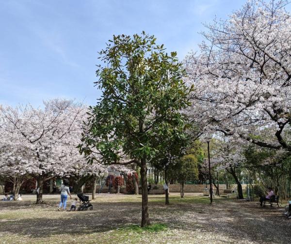 ロイヤルハイツ三田(亀塚公園)