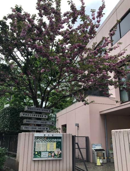 ロイヤルシーズン新宿柏木(新宿区立北新宿図書館)