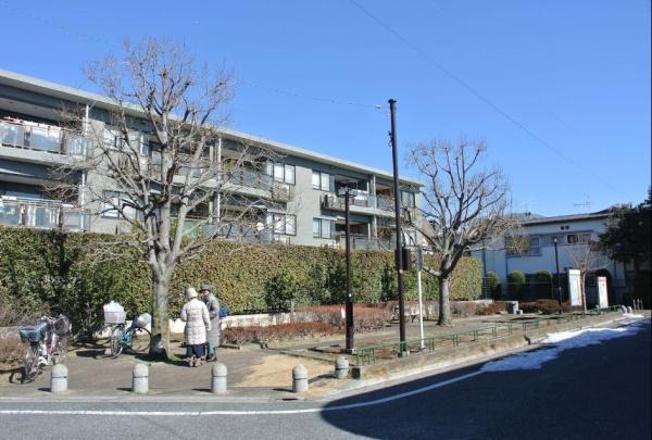 杉並区宮前３丁目の中古一戸建て(宮前あおぞら緑地)