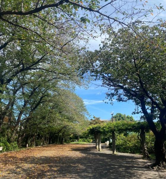 調布市深大寺南町５丁目の中古一戸建て(柴崎公園)