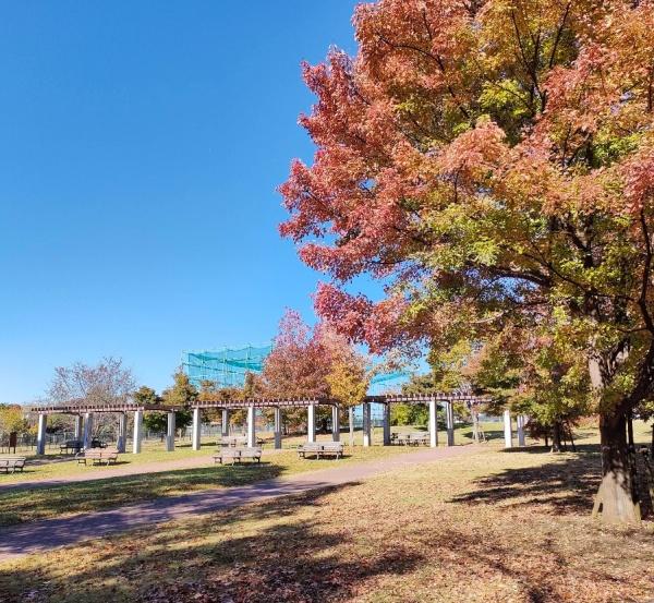 練馬区大泉町２丁目の中古一戸建て(大泉町もみじやま公園)