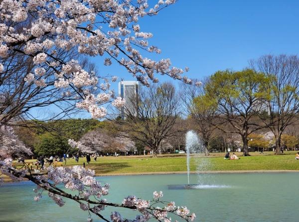 代々木グランドハイツ(代々木公園)