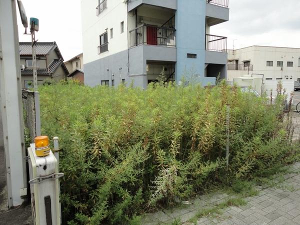 名古屋市守山区白沢町の土地