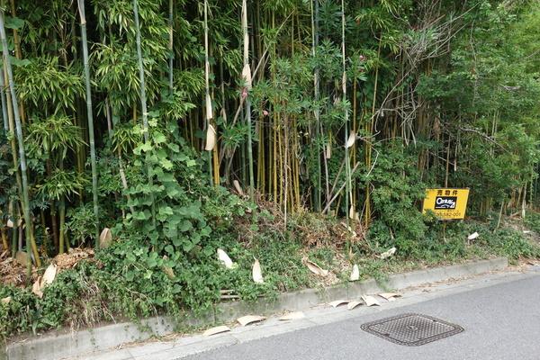 日進市折戸町梨子ノ木の土地