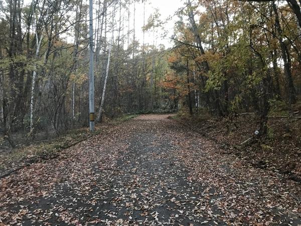 高山市朝日町西洞の土地