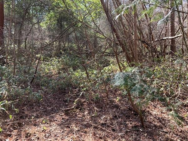 中津川市福岡の土地