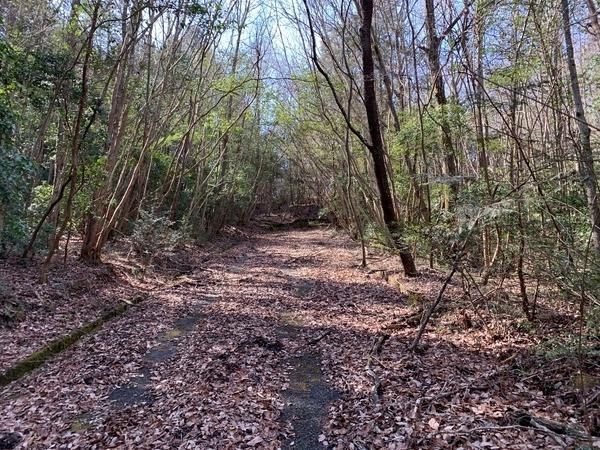 中津川市茄子川の土地