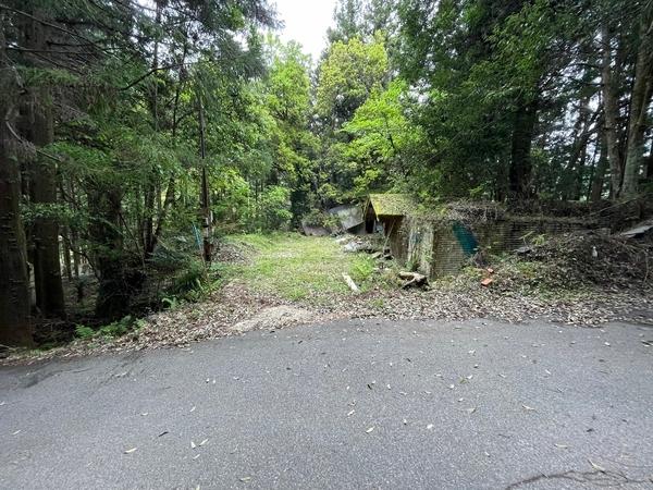 豊田市川面町登那柳の土地