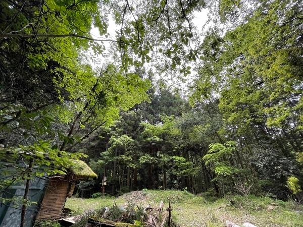 豊田市川面町登那柳の土地