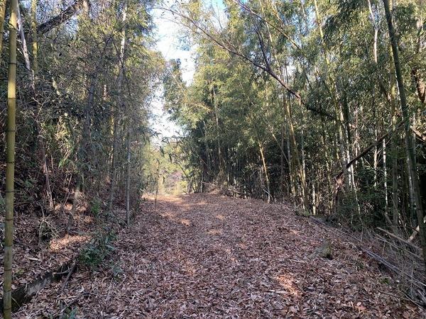 豊田市上脇町萩田の土地