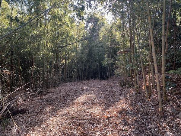 豊田市上脇町萩田の土地