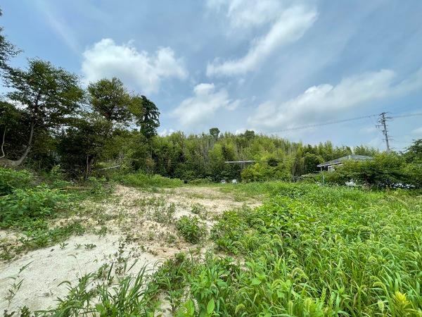 愛知郡東郷町大字春木字新池の土地