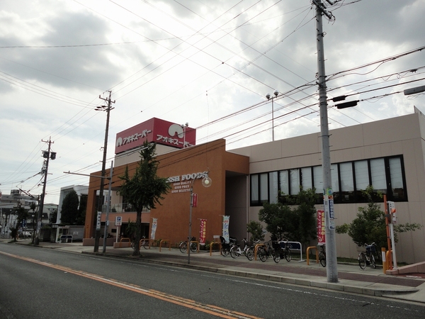 名古屋市名東区八前3丁目の土地(アオキスーパー名東よもぎ台店)