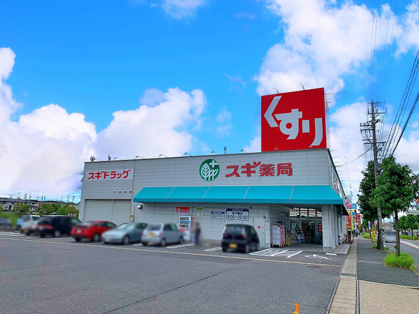 名古屋市緑区藤塚3丁目の土地(スギ薬局白土店)
