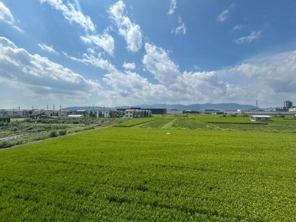 新築戸建　伏見区久我御旅町31期18号地