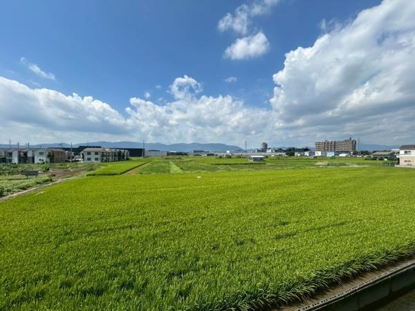 新築戸建 伏見区久我御旅町31期17号地(現地からの眺望)