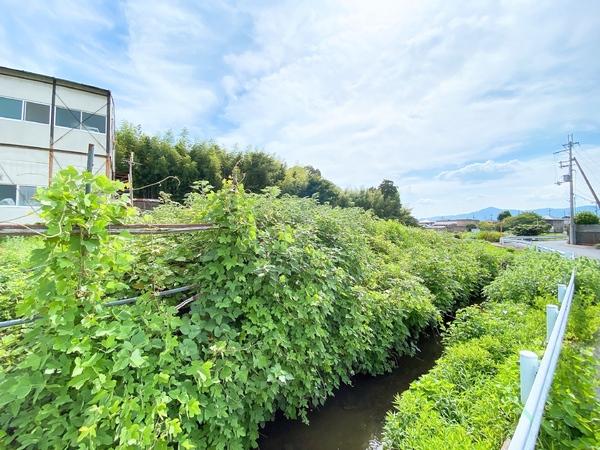 草津市芦浦町の土地