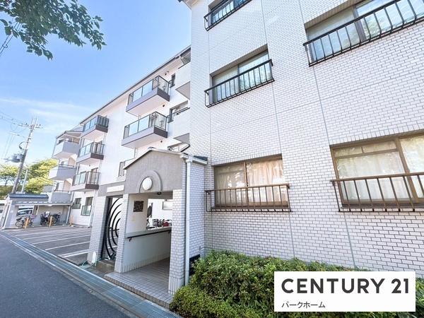 シャルム大路