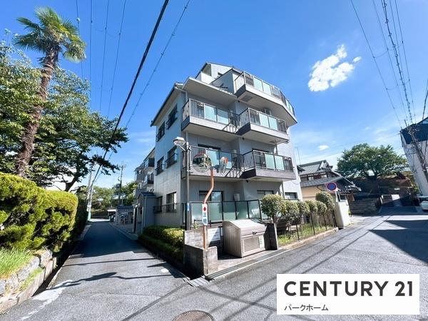 シャルム大路