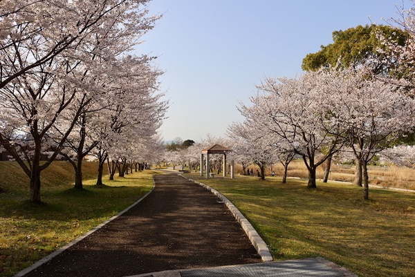 関津6丁目借家(田上公園)