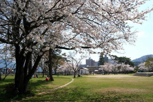 1号棟　全5区画(南郷公園)