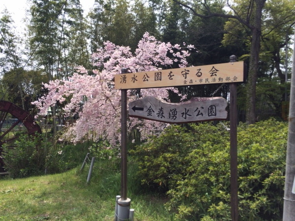 守山市金森町の土地(金森湧水公園)