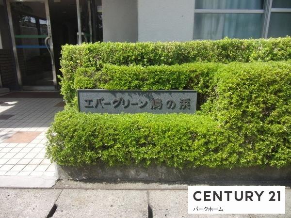 エバーグリーン鳰の浜(その他)