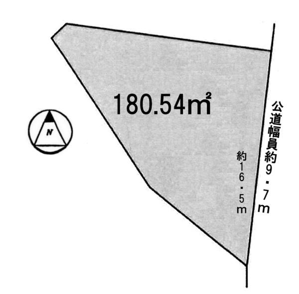 条件無