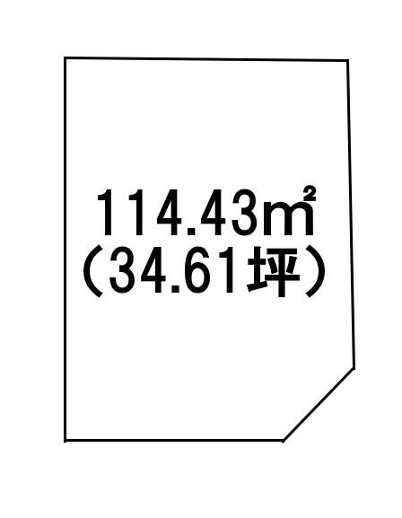 条件無