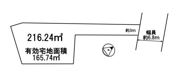 条件無