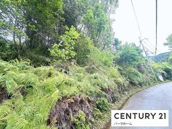 大津市国分2丁目の土地(その他現地)