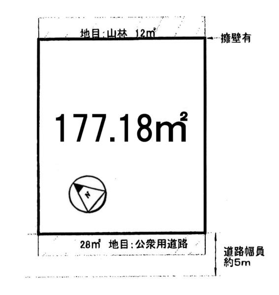 条件無