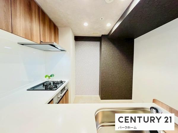 ウィングビュー(キッチン)